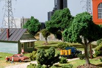 Miniatures