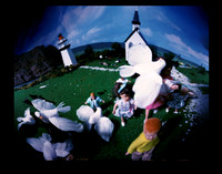Pinhole Photography - Hitchcock Series
