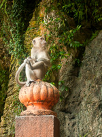 Travel